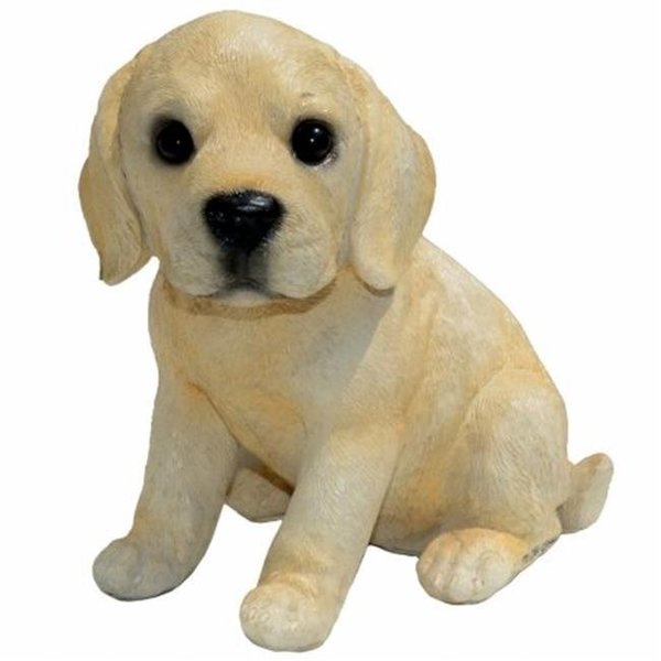 Michael Carr Designs Michael Carr Designs MCD80103 Yellow Labrador Puppy; Small MCD80103